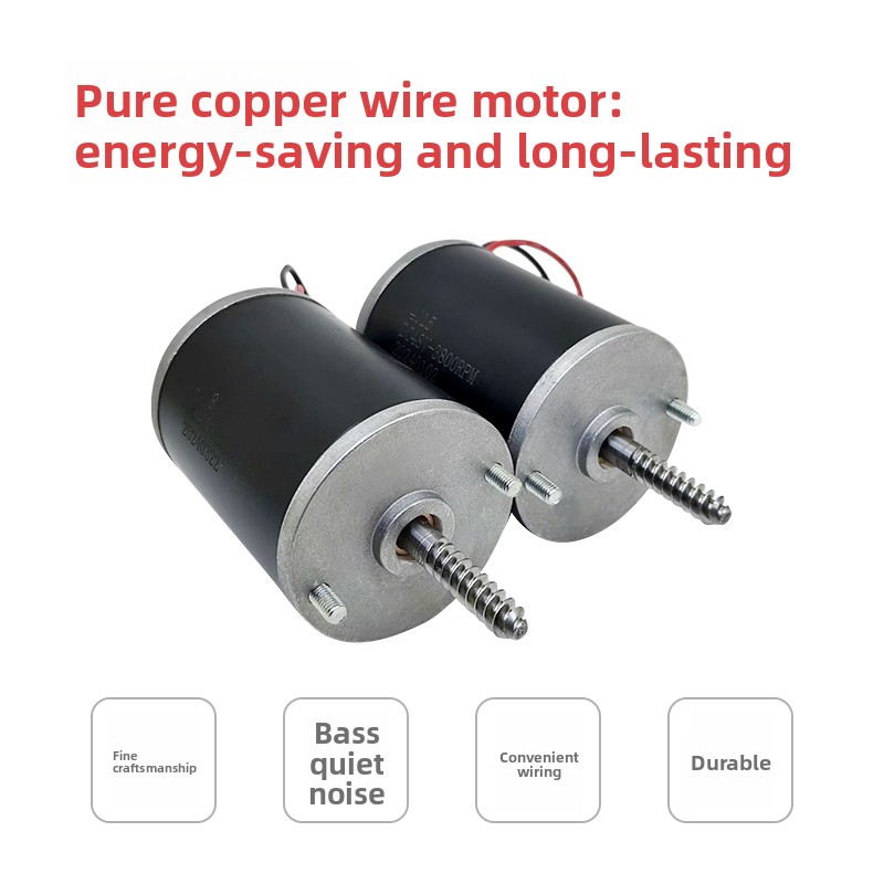Durable 24V 48V Motor for Claw - огляд і ціна Crane Claw Motor
